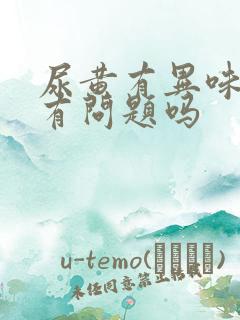 尿黄有异味是肾有问题吗