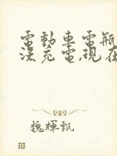 电动车电瓶半年没充电,现在充不上电怎么办