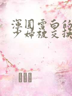 浑圆雪白的人妻少妇被交换