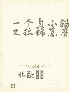 一个月小猫又吐又拉稀怎么办