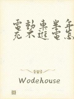 电动车半年没骑充不进电怎么办