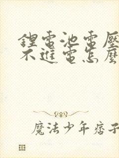 锂电池电压低充不进电怎么办