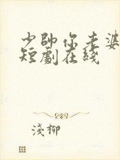 少帅你老婆又跑短剧在线