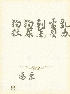 狗狗到处乱拉屎拉尿怎么办