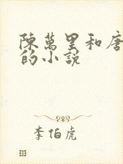 陈万里和唐嫣然的小说