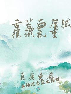 舌苔白厚腻有齿痕湿气重