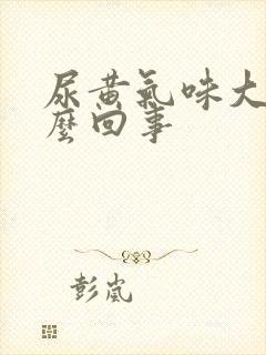 尿黄气味大是怎么回事