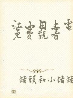 江山日上电视剧免费观看