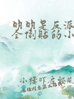 明明是反派女主全倒贴的小说