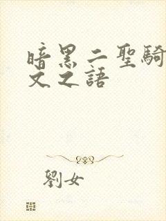 暗黑二圣骑士符文之语