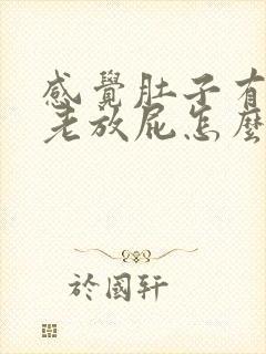 感觉肚子有胀气老放屁怎么办