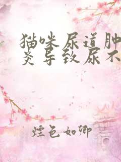 猫咪尿道肿大发炎导致尿不出尿怎么办