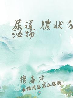 尿道 脓状分分泌物