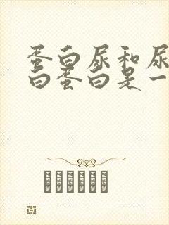 蛋白尿和尿微量白蛋白是一回事吗