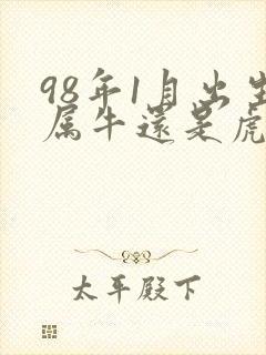 98年1月出生属牛还是虎