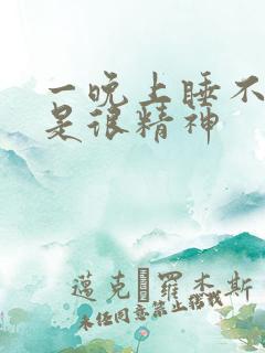 一晚上睡不着但是很精神
