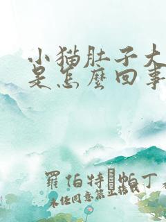 小猫肚子大大的是怎么回事