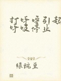 打呼噜引起短暂呼吸停止