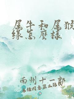 属牛和属猴的姻缘怎么样