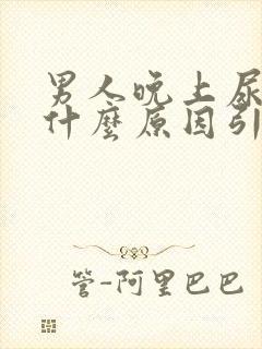 男人晚上尿频是什么原因引起的