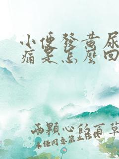 小便发黄尿道刺痛是怎么回事