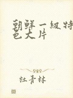 朝鲜一级特黄特色大片