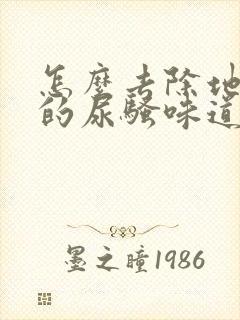 怎么去除地板上的尿骚味道