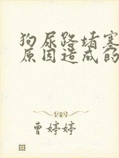 狗尿路堵塞什么原因造成的