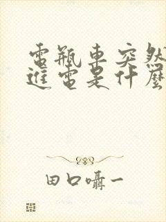 电瓶车突然充不进电是什么原因