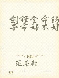 剑锋金命的女孩子命好不好