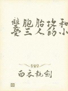 双胞胎攻和双性受三人的小说