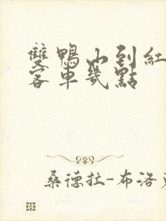 双鸭山到红兴隆客车几点