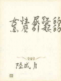 女性尿路的感染怎么引起的