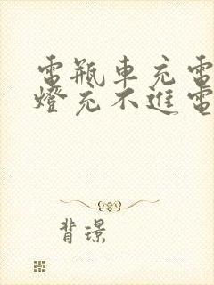 电瓶车充电器绿灯充不进电怎么办