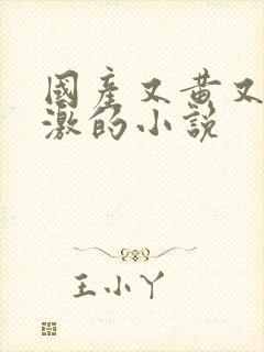 国产又黄又爽刺激的小说