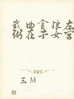 武曲贪狼左辅右弼在子女宫