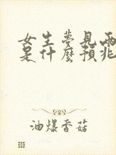 女生梦见两条蛇是什么预兆