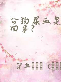 公狗尿血是怎么回事?