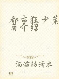 都市狂少叶凡主角介绍