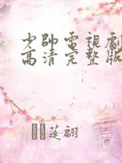 少帅电视剧免费高清完整版在线看