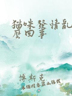 猫咪发情乱尿怎么回事