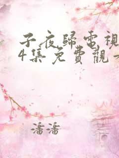 子夜归电视剧34集免费观看