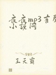 夜夜mp3有声小说网