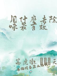 用什么去除狗尿味最有效