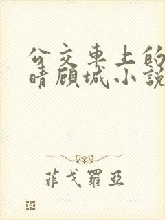 公交车上的诗请晴顾城小说阅读