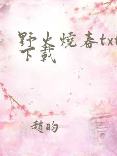 野火烧春txt下载