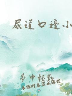 尿道口边小肉粒