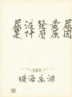 尿液发黄尿量少是什么原因