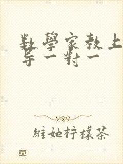 数学家教上门辅导一对一