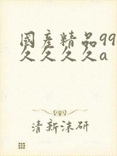 国产精品99久久久久久a